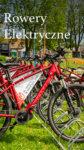 Rowery elektryczne